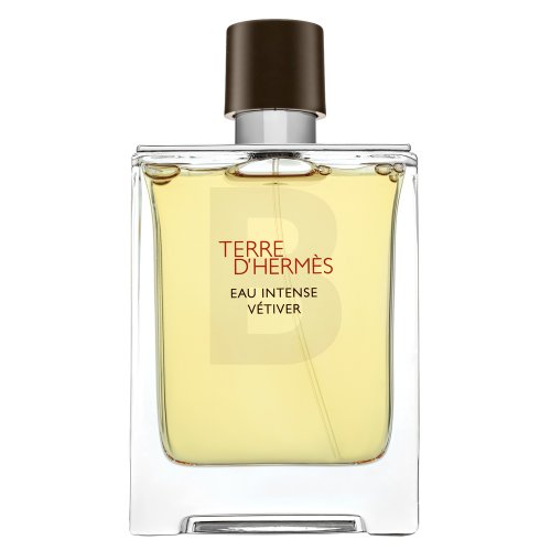 Hermes Terre D'Hermes Eau Intense Vetiver Eau de Parfum